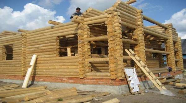 Этапы строительства дома из оцилиндрованного бревна - фото