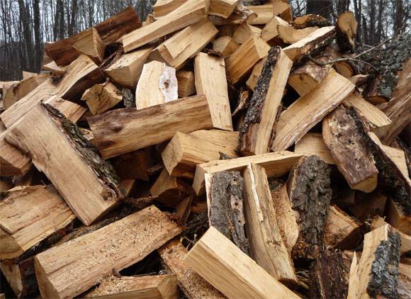 Давайте разберемся: какие дрова лучше для отопления с фото