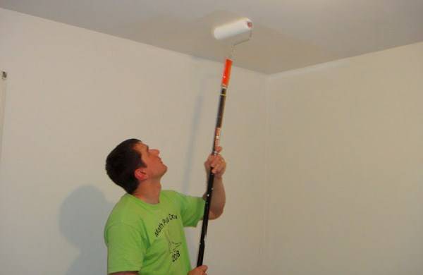 Покрасить потолок водоэмульсионной краской: идеи выбора с фото