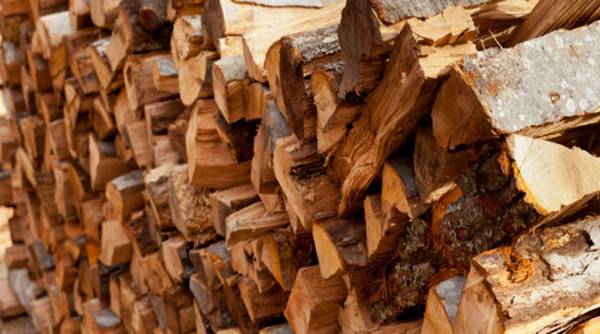 Правила заготовки дров для бани Какие дрова выбрать? с фото